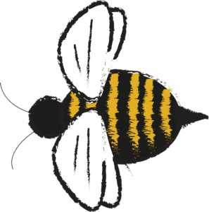 image of a bee